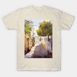 Plaza de San Manuel, Beires T-Shirt